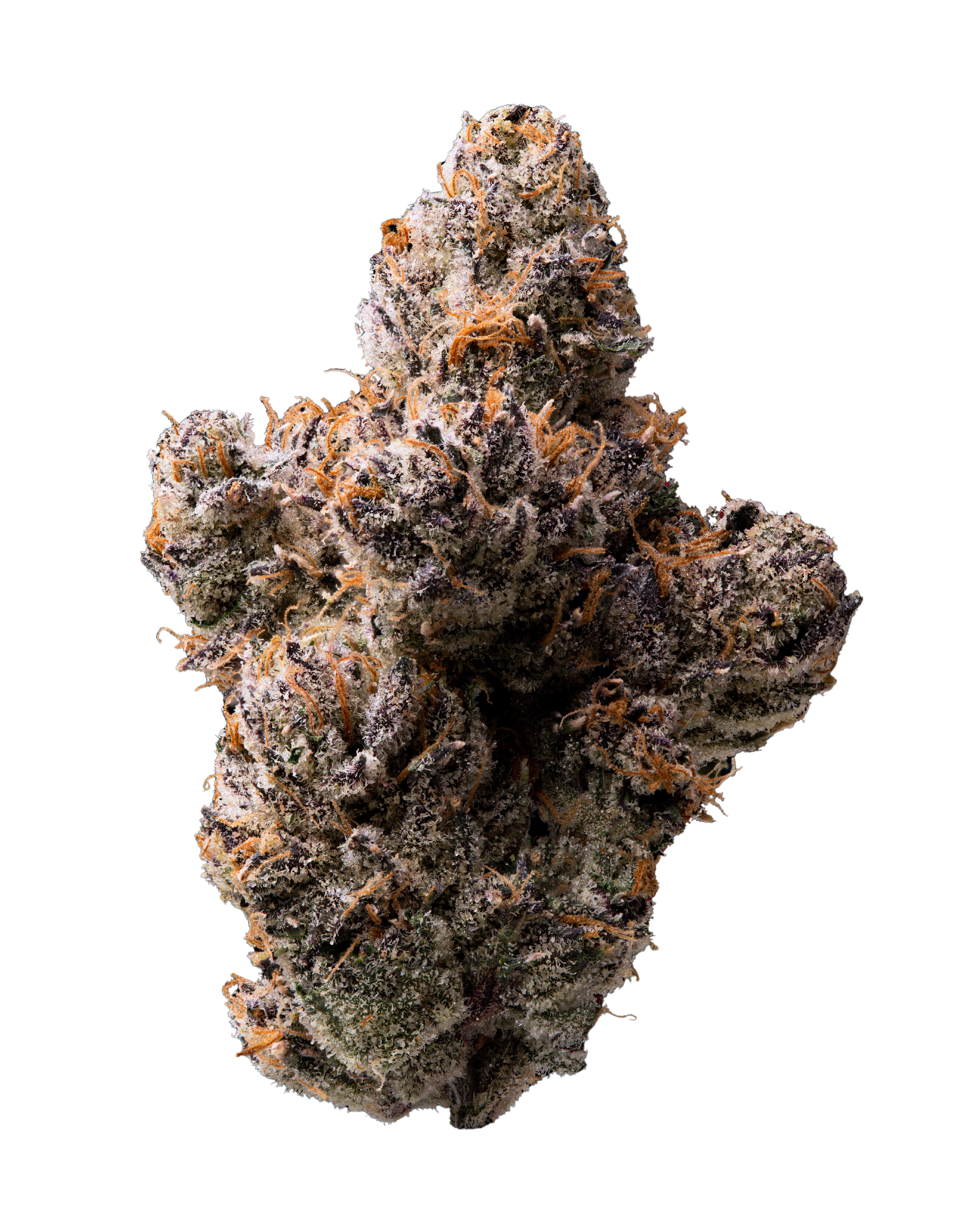Lemon Cherry Gelato