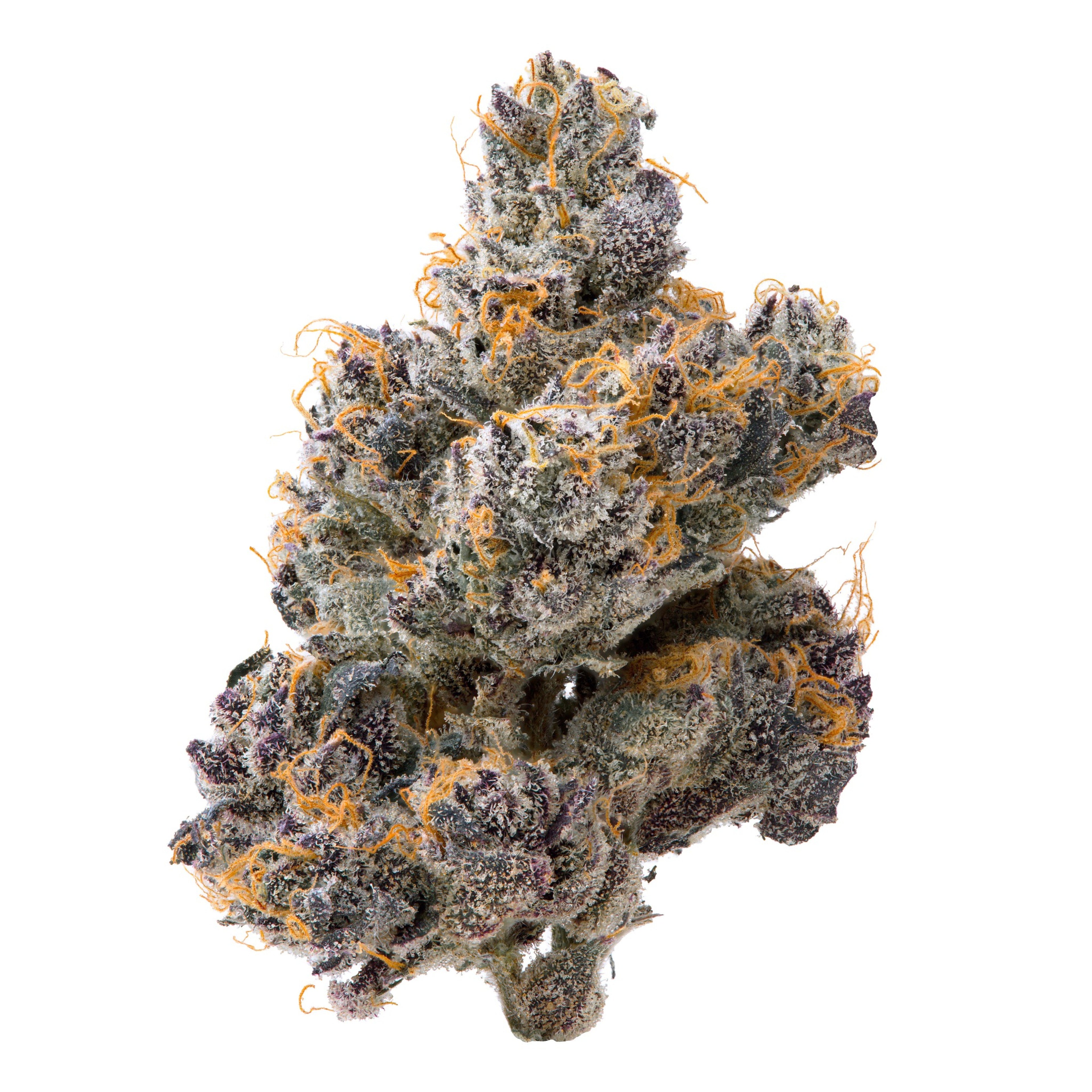 Lemon Cherry Bubblegum